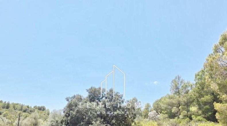 Castellón - Cervera del Maestre - 23114m2