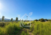 Terreno no urbanizable en venta en la España, la Ràpita, ref: TR416572 foto