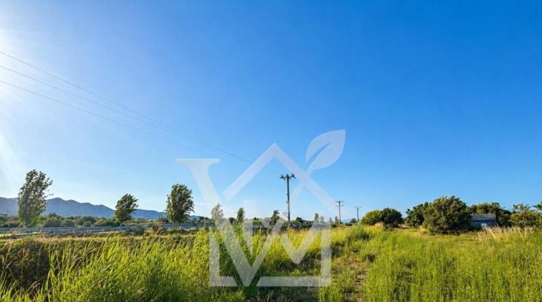 Tarragona - la Ràpita - 2294m2