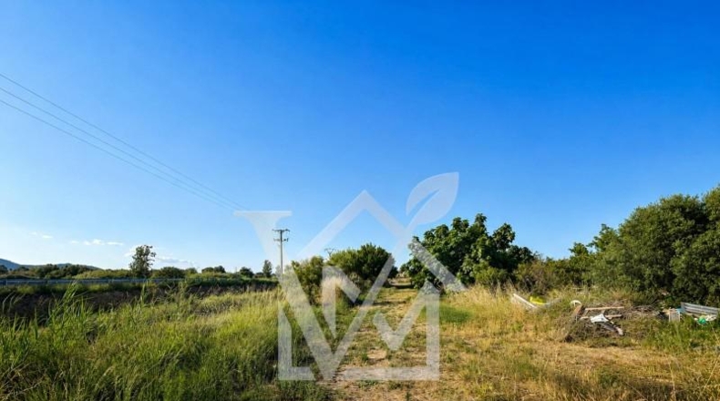 Tarragona - la Ràpita - 2294m2