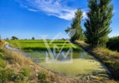 Terreno no urbanizable en venta en la España, la Ràpita, ref: TR416572 foto