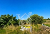 Terreno no urbanizable en venta en la España, la Ràpita, ref: TR416572 foto
