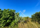 Terreno no urbanizable en venta en la España, la Ràpita, ref: TR416572 foto