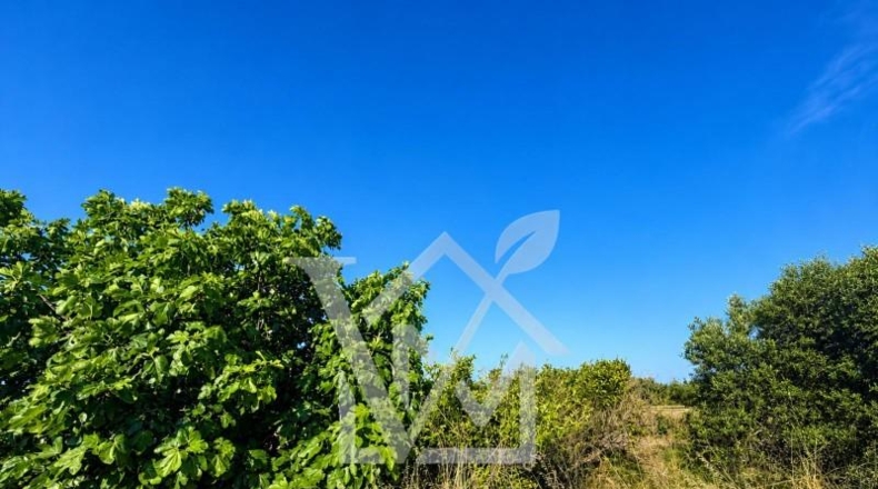 Tarragona - la Ràpita - 2294m2