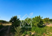 Terreno no urbanizable en venta en la España, la Ràpita, ref: TR416572 foto