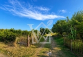 Terreno no urbanizable en venta en la España, la Ràpita, ref: TR416572 foto