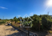 Terreno no urbanizable en venta en la España, la Ràpita, ref: TR416572 foto