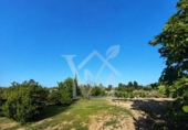 Terreno no urbanizable en venta en la España, la Ràpita, ref: TR416572 foto