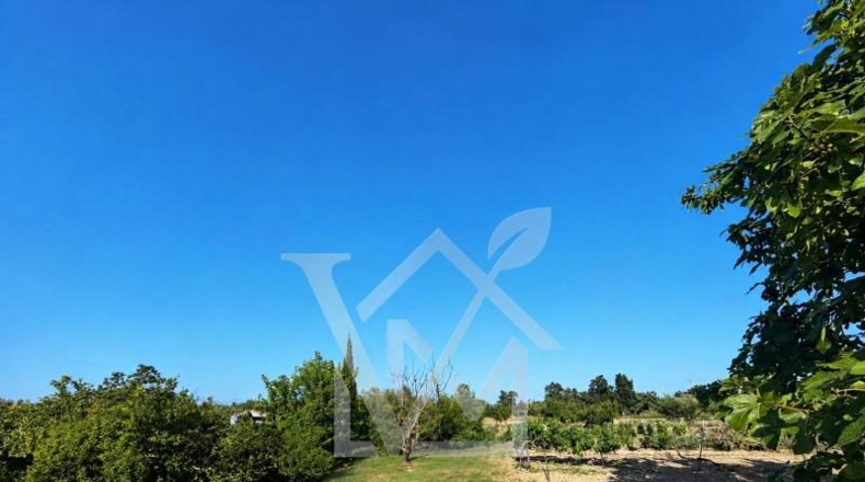 Tarragona - la Ràpita - 2294m2