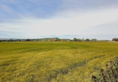 Parcela urbanizable en venta en la España, Tornabous, ref: TR280419 foto