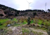 Non-developable land for sale on España, Vilalba dels Arcs, ref: TR416582 photo