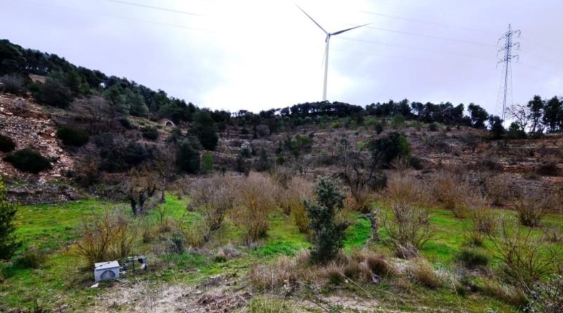 Tarragona - Vilalba dels Arcs - 55847m2