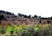 Non-developable land for sale on España, Vilalba dels Arcs, ref: TR416582 photo