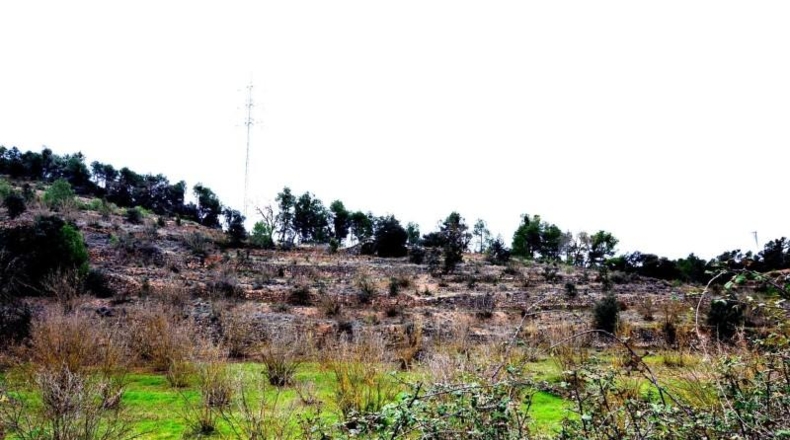 Tarragona - Vilalba dels Arcs - 55847m2