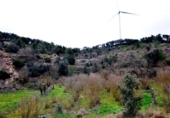 Non-developable land for sale on España, Vilalba dels Arcs, ref: TR416582 photo