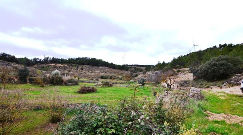 Tarragona - Vilalba dels Arcs - 55847m2