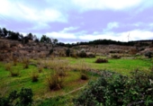Non-developable land for sale on España, Vilalba dels Arcs, ref: TR416582 photo