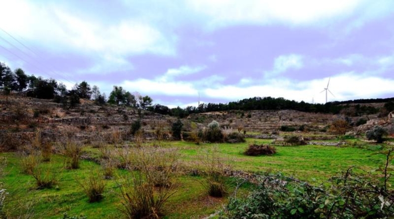 Tarragona - Vilalba dels Arcs - 55847m2