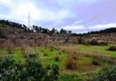 Non-developable land for sale on España, Vilalba dels Arcs, ref: TR416582 photo