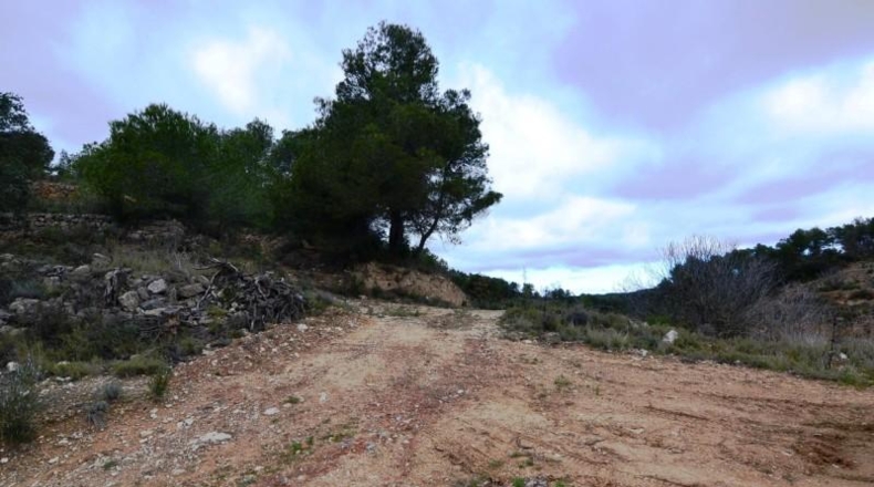 Tarragona - Vilalba dels Arcs - 55847m2