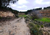 Non-developable land for sale on España, Vilalba dels Arcs, ref: TR416582 photo