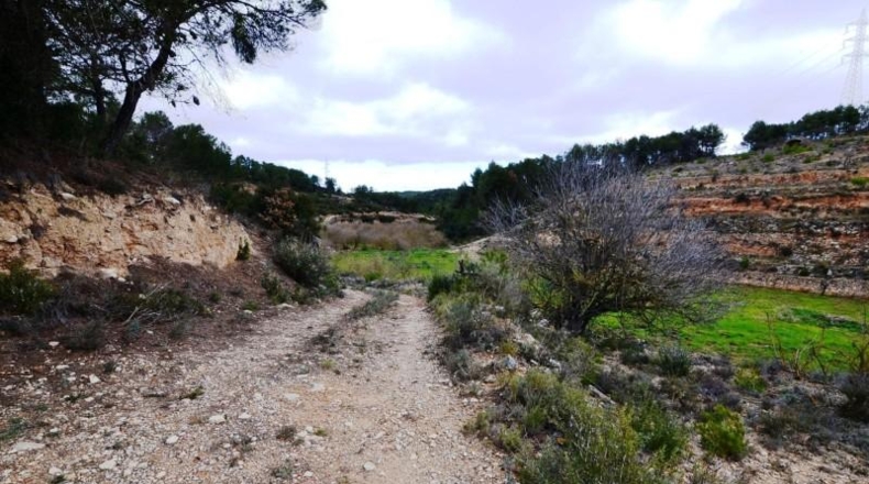 Tarragona - Vilalba dels Arcs - 55847m2