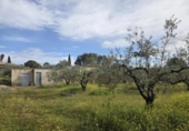 Terreno no urbanizable en venta en la España, Benimodo, ref: TR392598 foto