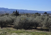 Terreno no urbanizable en venta en la España, Benimodo, ref: TR392598 foto