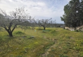 Terreno no urbanizable en venta en la España, Benimodo, ref: TR392598 foto