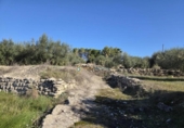 Terreno no urbanizable en venta en la España, Benimodo, ref: TR392598 foto