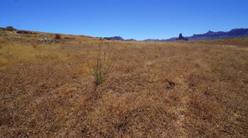 Las Palmas - Artenara - 25008m2