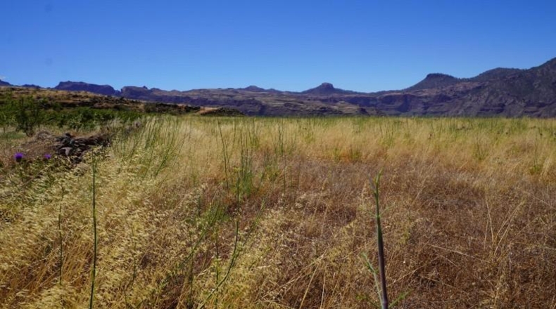 Las Palmas - Artenara - 25008m2