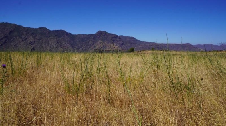 Las Palmas - Artenara - 25008m2