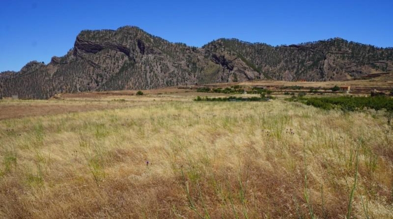 Las Palmas - Artenara - 25008m2