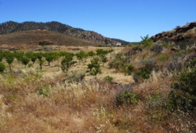 Artenara 25008&nbsp;m²