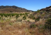 Terreno no urbanizable en venta en la España, Artenara, ref: TR416593 foto