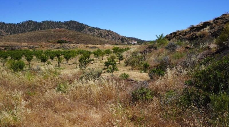 Las Palmas - Artenara - 25008m2