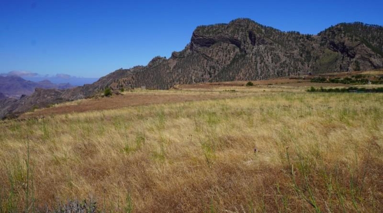 Las Palmas - Artenara - 25008m2