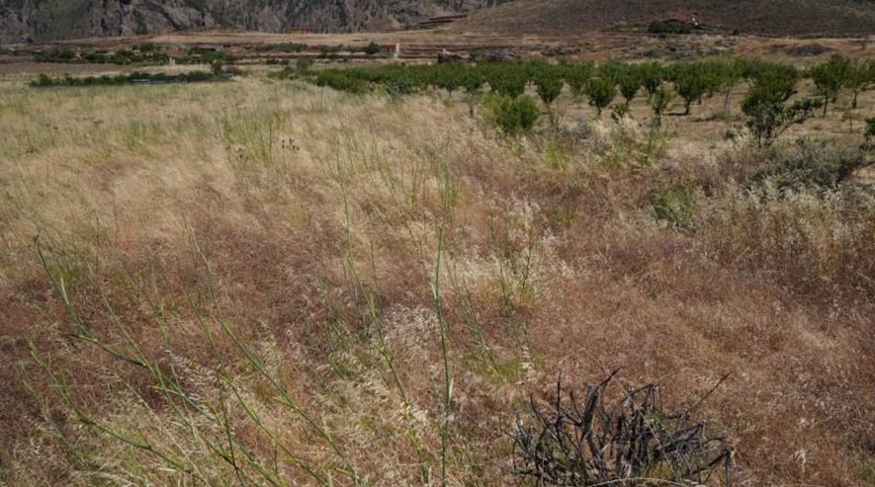 Las Palmas - Artenara - 25008m2
