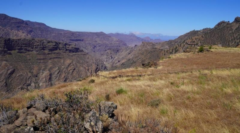 Las Palmas - Artenara - 25008m2