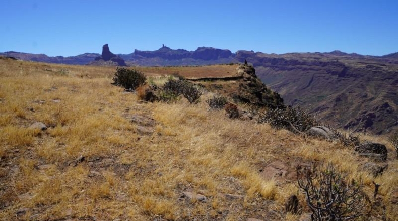 Las Palmas - Artenara - 25008m2