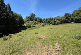 Oviedo 4896&nbsp;m²