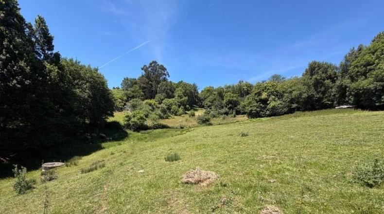 Asturias - Oviedo - 4896m2