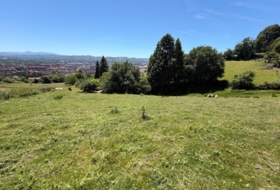 Oviedo 4896&nbsp;m²