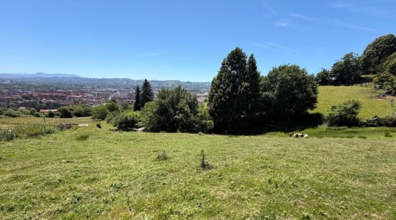 Asturias - Oviedo - 4896m2