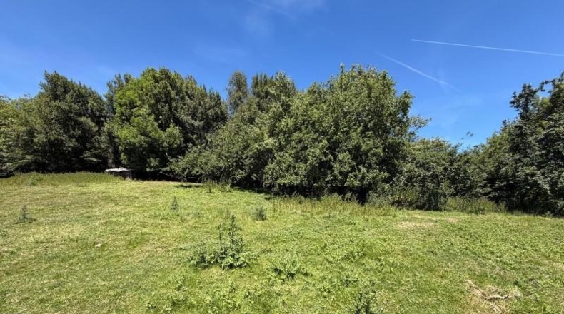 Asturias - Oviedo - 4896m2