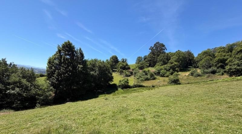 Asturias - Oviedo - 4896m2