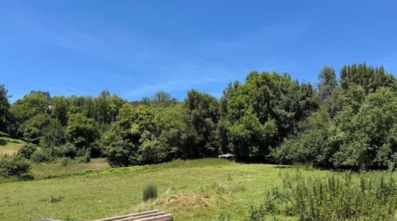 Asturias - Oviedo - 4896m2