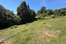 Oviedo 4896&nbsp;m²