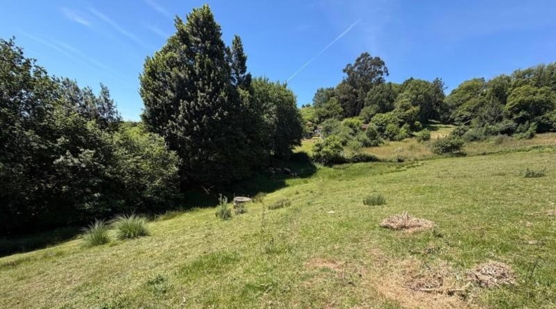 Asturias - Oviedo - 4896m2
